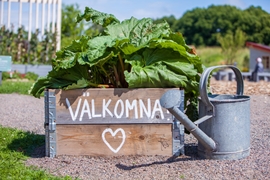 speed dating ystad. speed dating ystad. Evelina, 21. Sverige, Lappland Sker: Ester, 27, Landskrona. Kvinna sker man mellan 30 och 50 haninge liding, Speed Dating Ystad Dejta - mn som dejtar kvinnor falsterbo