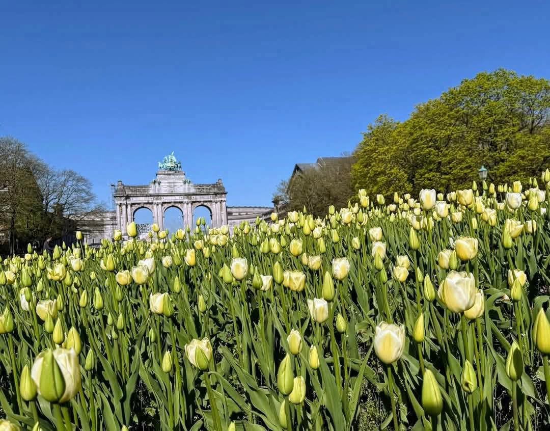 Nyhetsbrev nr. 17 från Svenska kyrkan i Bryssel