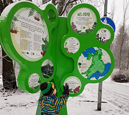 Ett barn studerar en informationstavla i form av ett träd. Utplacerade cirklar med text och bilder om The Green Loop.
