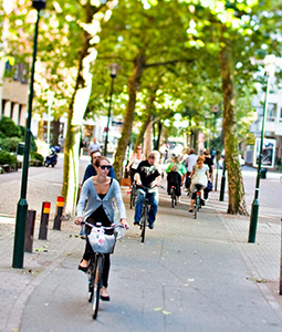Cykelväg som kantas av grönskande träd, i ett samhälle. Flera människor cyklar i båda riktningar.