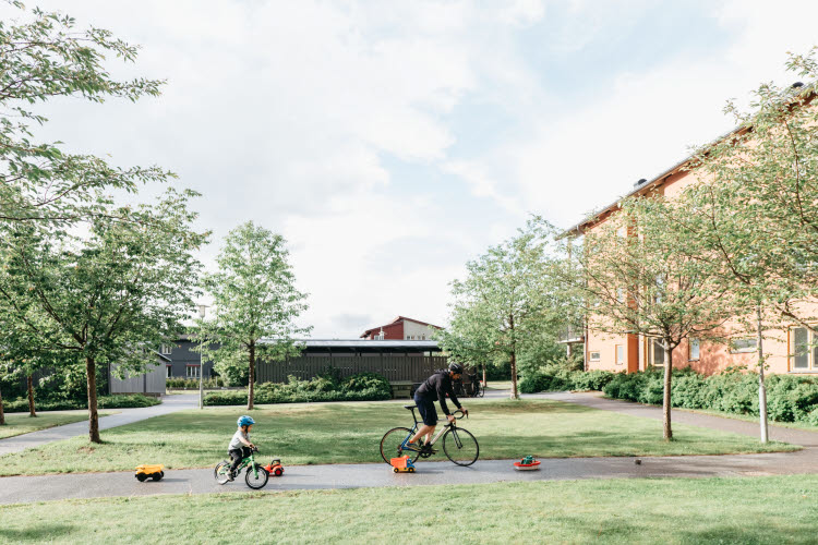 Man och barn cyklar i en innergård vid hus.