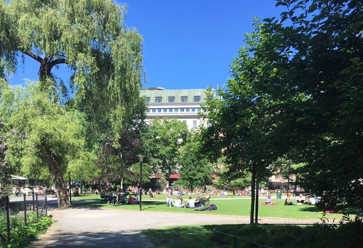 Foto på lummiga träd i en park med hus i bakgrunden