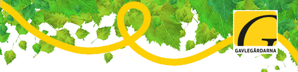 Brevhuvud med Gavlegårdarnas logotyp och björklöv i bakgrunden.