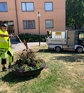 Bevattning av växter med vatten från Gavleån
