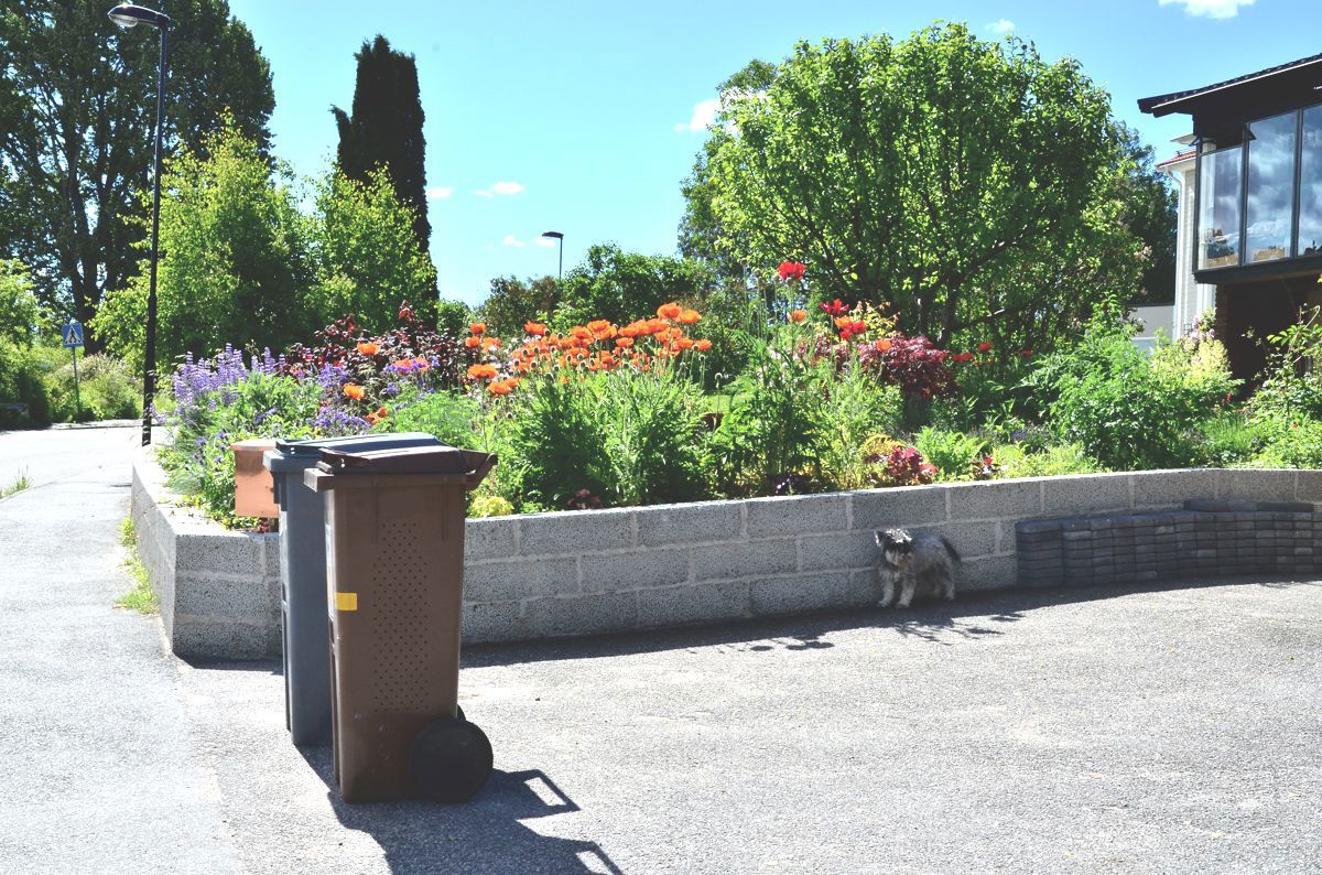 Bild på kärl framför hus med blommor
