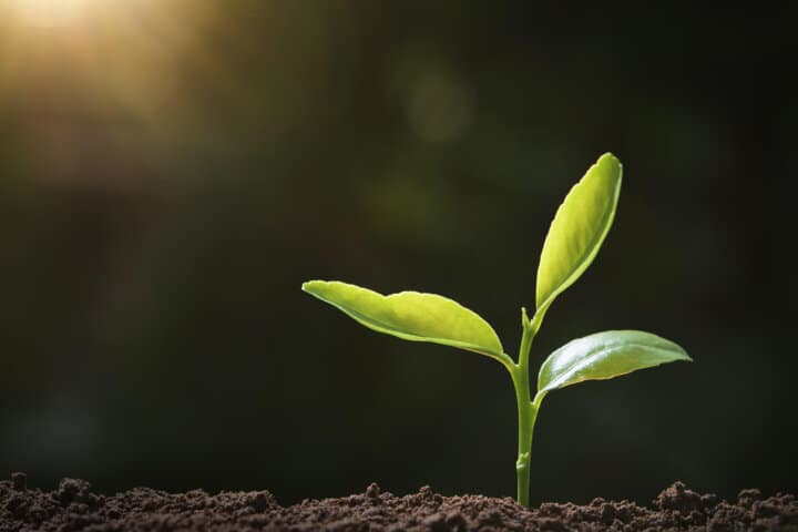 Läs mer och boka plats